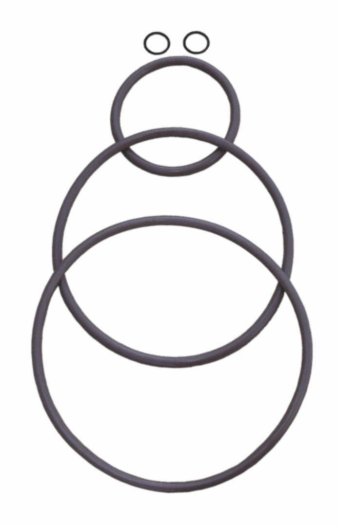 Set of black rubber O-rings of different sizes arranged on a white background.